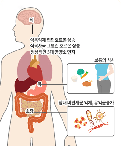 해독치료 후 정상식욕