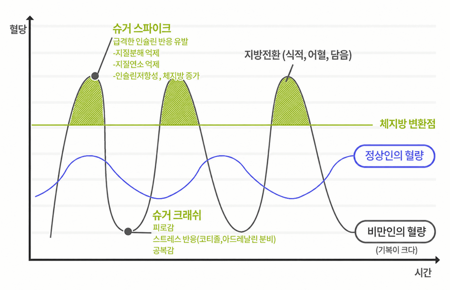 2단계 인슐린 분비 그래프 (슈거 스파이크 및 크래쉬)