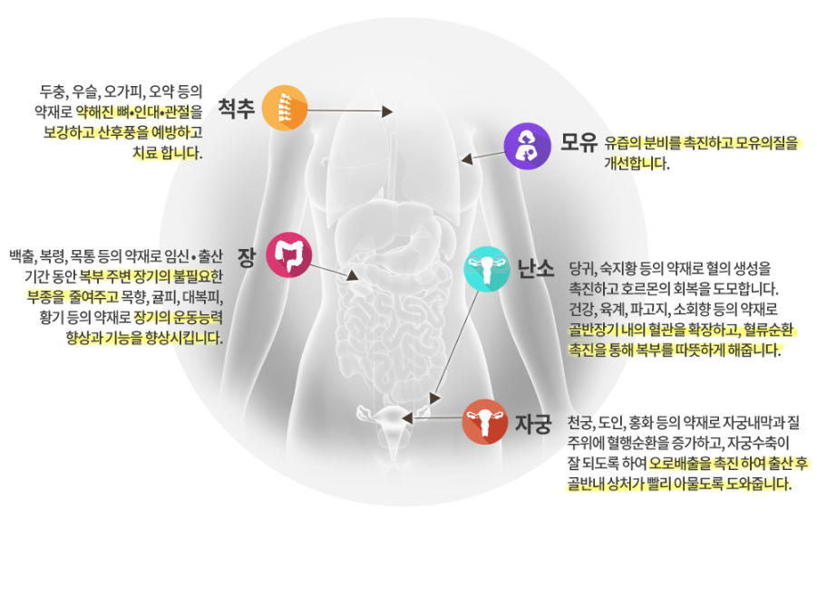 척추, 모유, 장, 난소, 자궁에 대한 산후조리한약의 작용