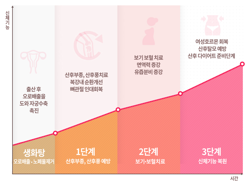 단계별 산후조리에 따른 신체기능 회복 그래프