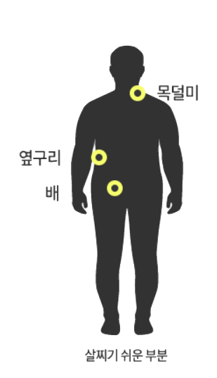 태음인 살찌기 쉬운 부위