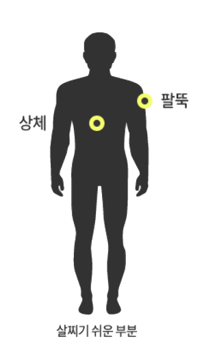 태양인 살찌기 쉬운 부위