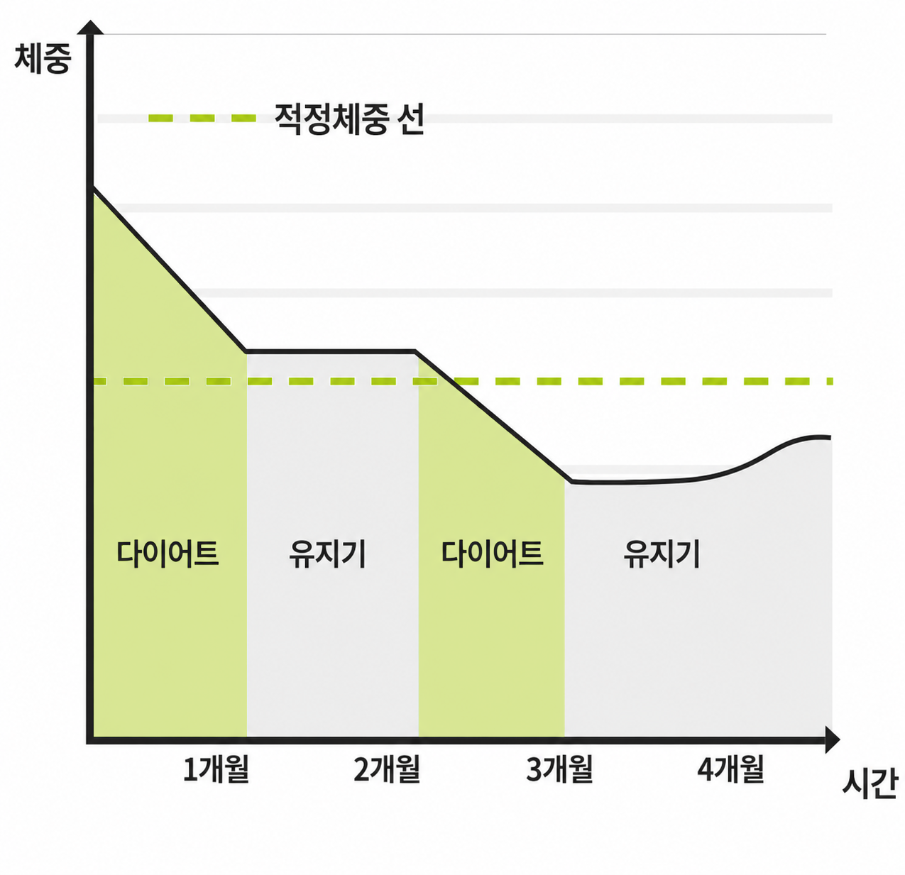 3단계 단계적 감량 그래프
