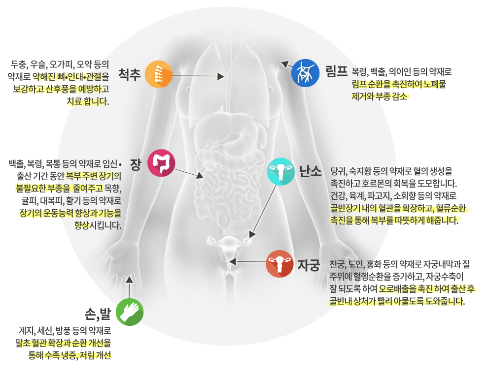 산후다이어트한약의 약리기전